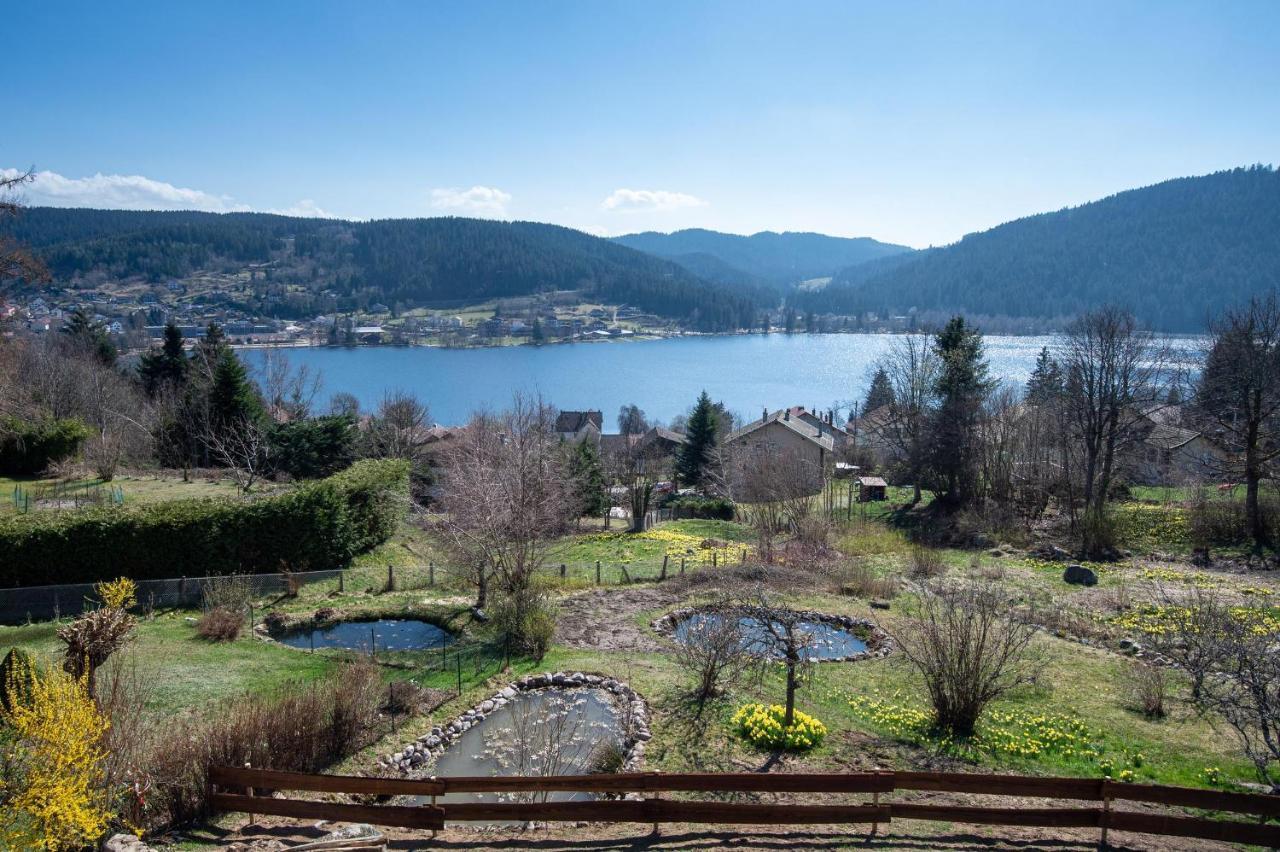 Moho Mountain Home Gerardmer Ngoại thất bức ảnh